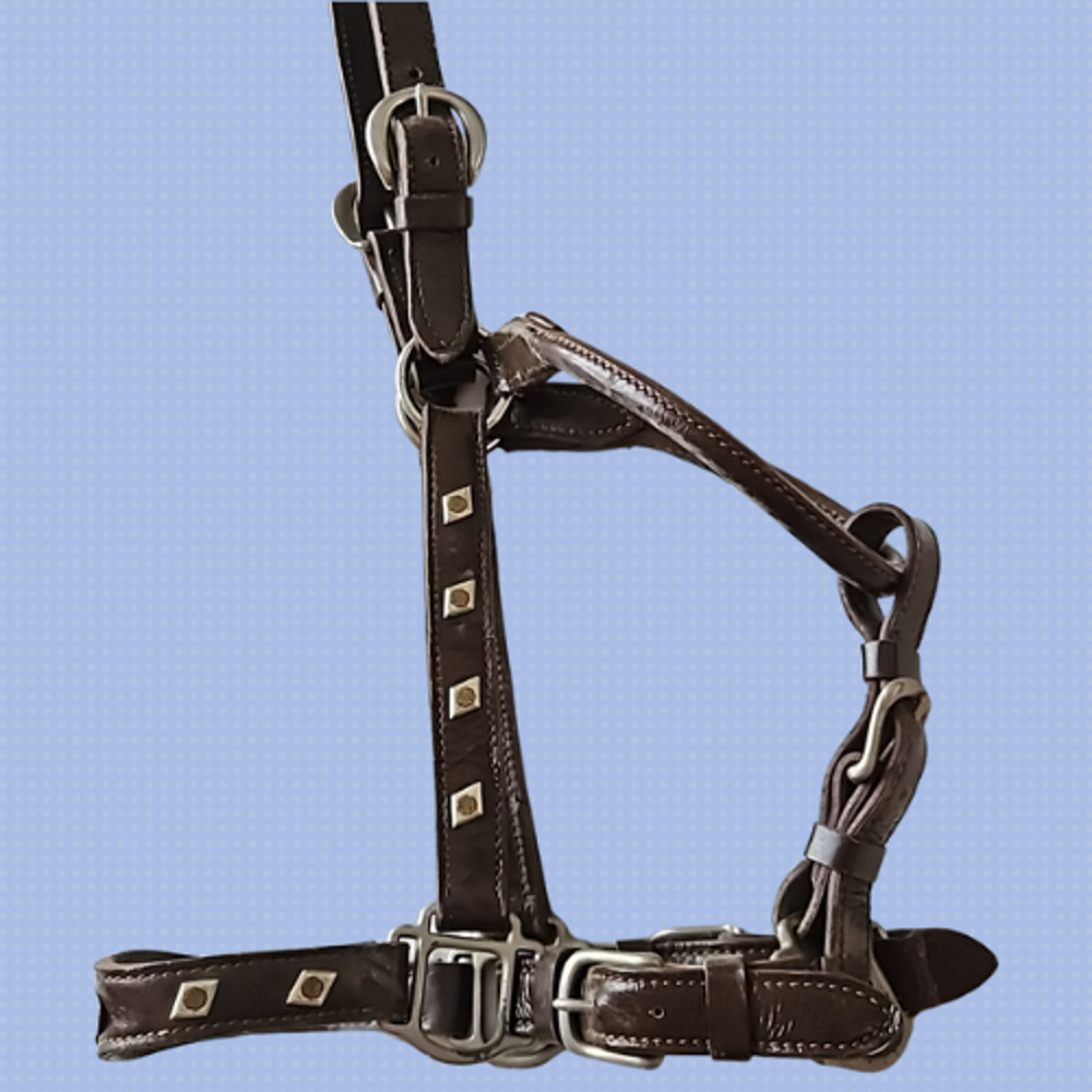 Vintage Billy Royal North and Judd Buckles Show Halter Horse Size